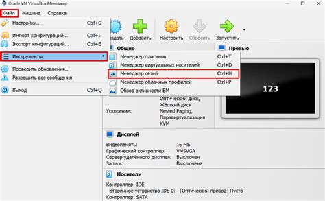 Особенности использования WiFi в VirtualBox