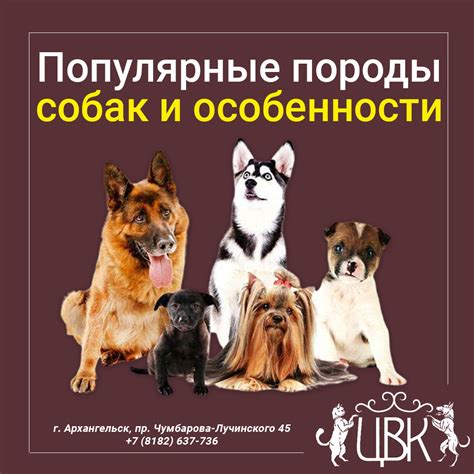 Особенности обслуживания и рекомендации по уходу