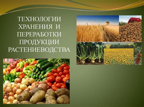 Особенности хранения и переработки человечины