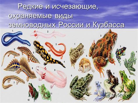 Охраняемые виды