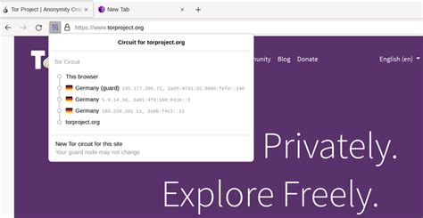 Переводчик страницы для Tor Browser: необходимость и возможности