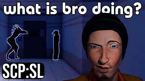 Плагины для SCP SL
