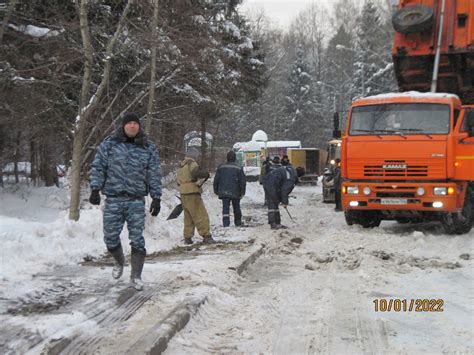 Подготовка к уничтожению дерева