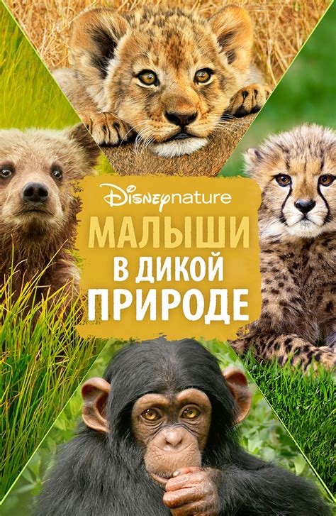 Познавательные мультипликации о животных и природе