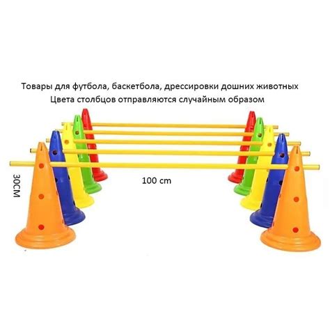 Полезные предметы для дрессировки