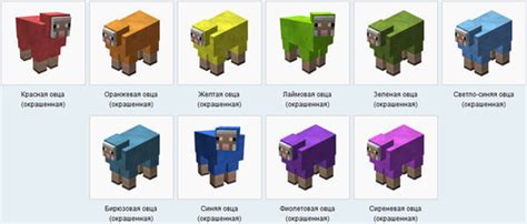 Получите радужную овцу и наслаждайтесь!
