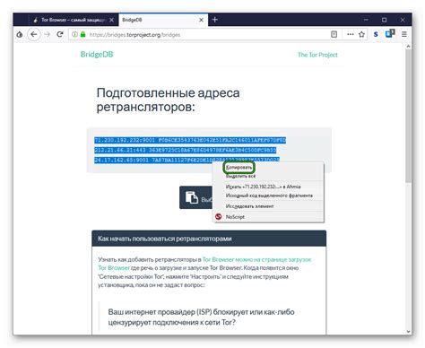 Помощь в установке Flash плеера в браузер Tor: инструкция для пользователей