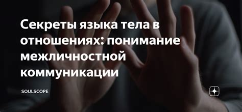 Понимание языка енотов: секреты дрессировки и коммуникации