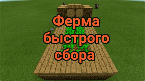 Построение автоматической фермы для ингредиентов