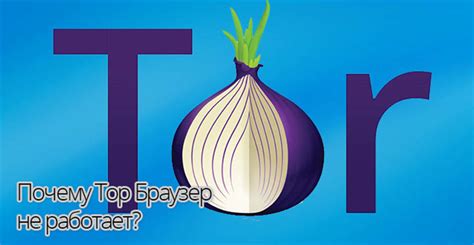 Почему стоит использовать Tor browser