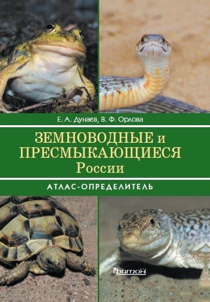 Пресмыкающиеся и земноводные Омской области: особенности и виды