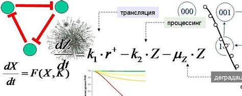 Примеры дискретных математических моделей