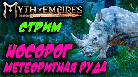 Приручение носорога