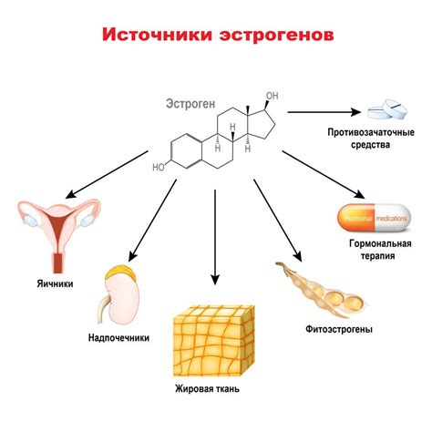 Причины применения эстрогенов в лекарствах