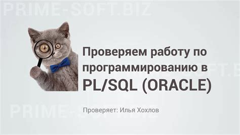 Проверяем работу мода