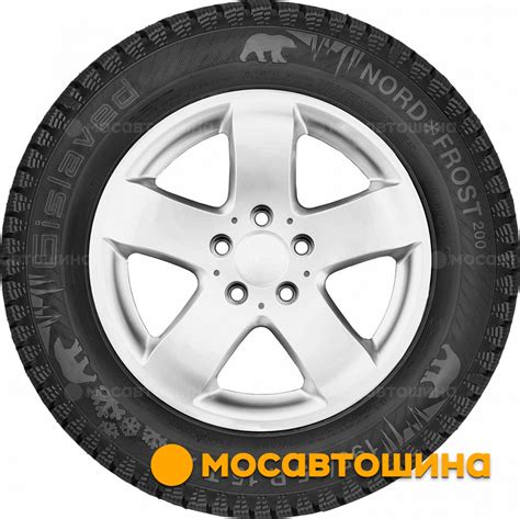 Раздел 5. Проверка правильности установки шин Gislaved Nord Frost 200