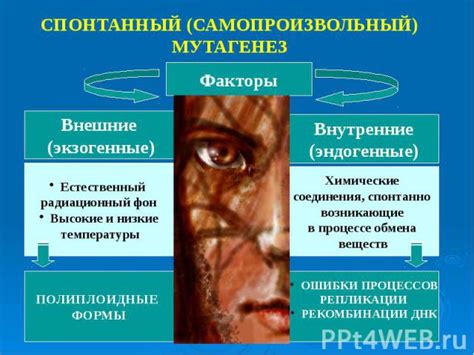 Различные виды мутантов и их поведение