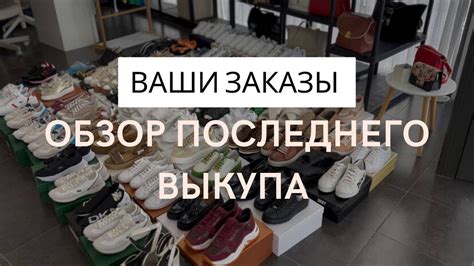 Разнообразие одежды и обуви