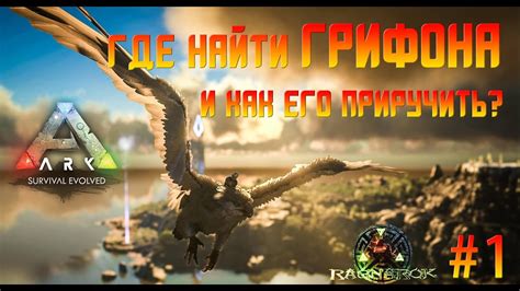 Расположение грифонов на карте Ragnarok