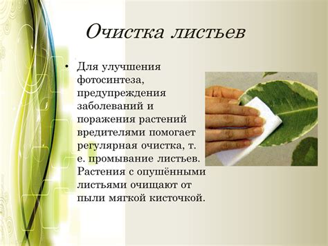 Регулярная очистка и диагностика