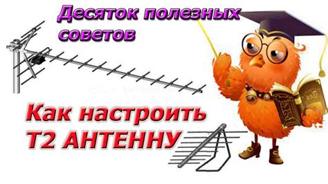 Решение проблем при настройке Т2 ЛНР