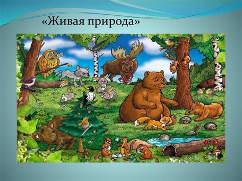 Роль заповедников в экологическом образовании населения