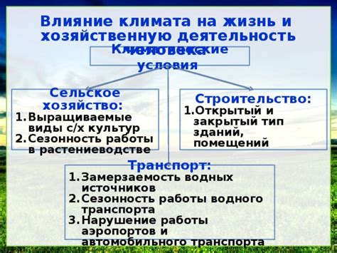 Сезонность и тип активности