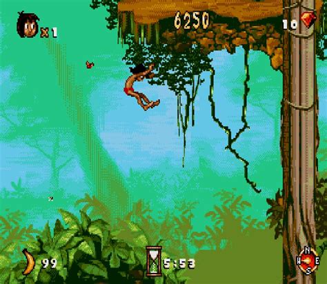 Советы по прохождению игры Wildlife