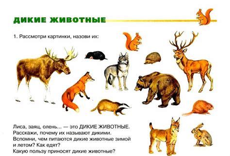 Список животных, размножающихся зимой