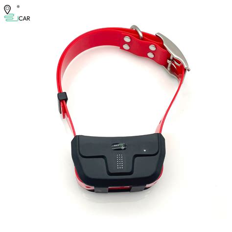Способы настройки gps ошейника icar ik122