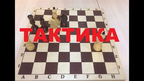 Тактические рекомендации для начинающих