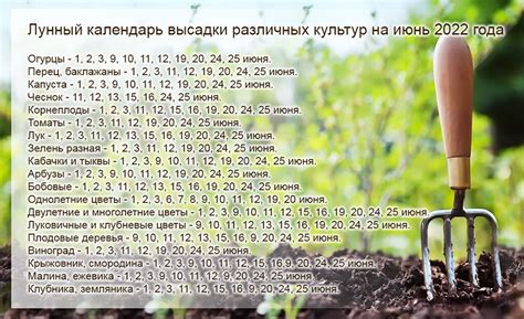 Удачные и неудачные даты рождения в июне