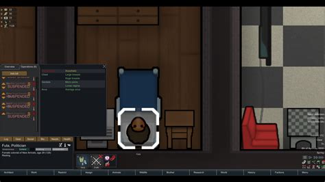 Установка и первоначальные настройки Rimworld Rimjobworld