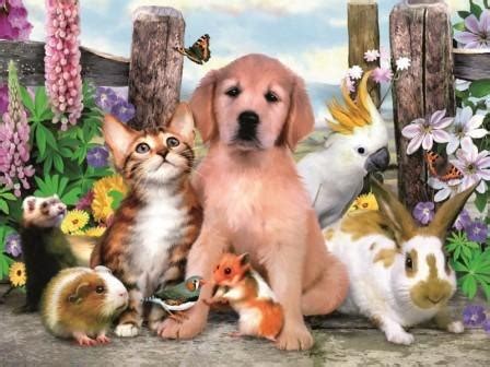 Факты из Жизни