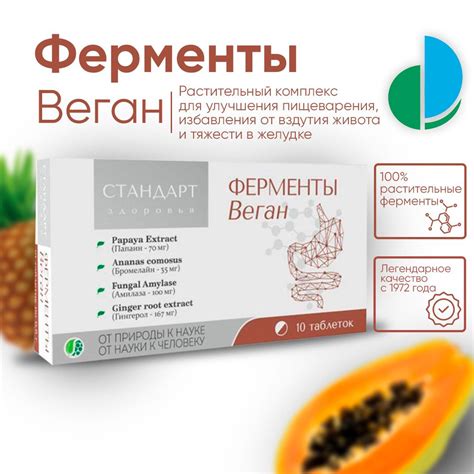 Ферменты: важный компонент пищеварения