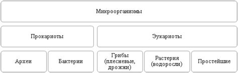 Царство архей: примеры