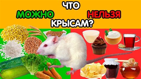 Что нельзя давать