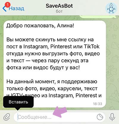 Шаг 8: Вставьте ссылку на скриншот и отправьте сообщение