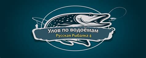  Рекомендации по использованию квивертипа на фидере в Русской рыбалке 4 