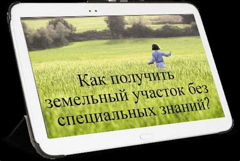  Советы по правильному использованию мухи в игре 