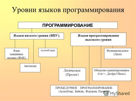  Языки программирования: примеры 