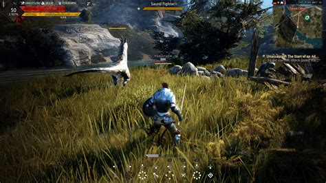  Black Desert 