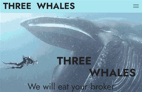 Three Whales имо: полный список конвенций