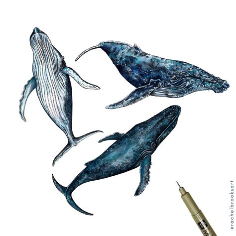 Three Whales Brooks
