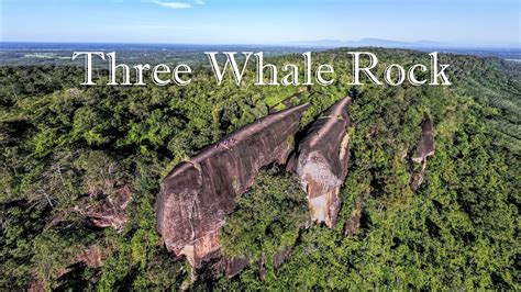 Three Whales Hill
