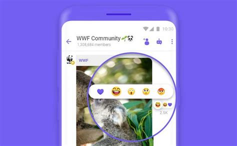 Viber - популярный мессенджер с широкими возможностями в Турции