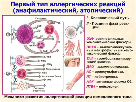 Аллергическая реакция на линзы