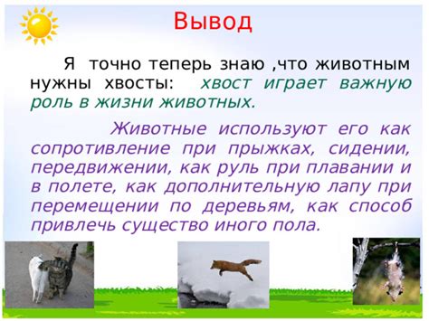 Биологические характеристики улиток и их роль в передвижении во время грозы