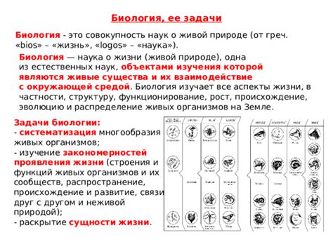 Биология: изучение живых организмов и их функций
