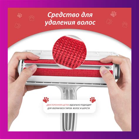 Благополучное здоровье шерсти домашнего любимца: необходимость систематического ухода и очистки